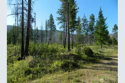 0 Tbd Stage Coach Trail, Riverside, WA 98849 - Photo 21