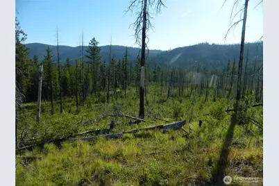 0 Tbd Stage Coach Trail, Riverside, WA 98849 - Photo 7