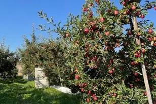 223 Old Riverside Hwy, Omak, WA 98841 - Photo 27