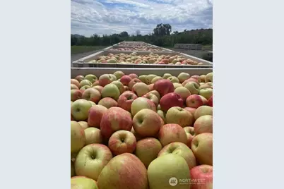 223 Old Riverside Hwy, Omak, WA 98841 - Photo 39