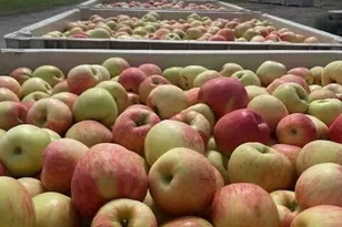 223 Old Riverside Hwy, Omak, WA 98841 - Photo 39