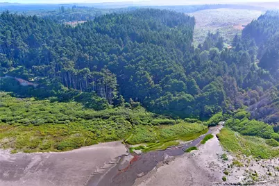 3 Roosevelt Beach Road, Pacific Beach, WA 98571 - Photo 15