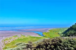 3 Roosevelt Beach Rd, Pacific Beach, WA 98571 - Photo 1