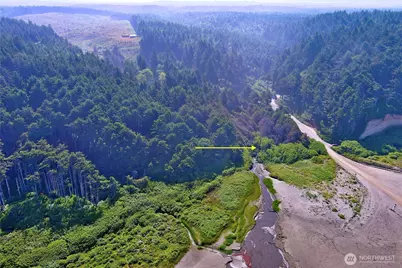3 Roosevelt Beach Road, Pacific Beach, WA 98571 - Photo 13