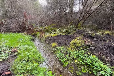 202 W Emerald Forest Lane, Sequim, WA 98382 - Photo 27
