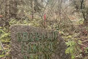 202 W Emerald Forest Ln, Sequim, WA 98382 - Photo 35