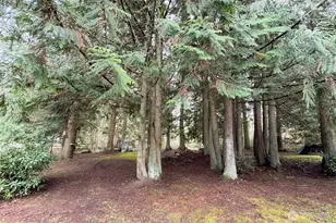 202 W Emerald Forest Ln, Sequim, WA 98382 - Photo 29