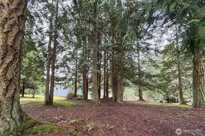 202 W Emerald Forest Lane, Sequim, WA 98382 - Photo 31