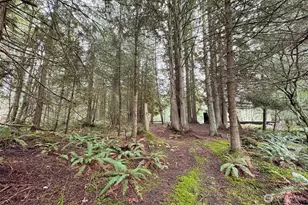 202 W Emerald Forest Ln, Sequim, WA 98382 - Photo 27