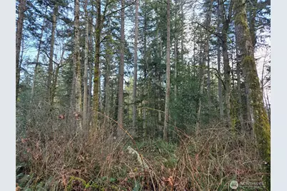 233 Xx State Highway 3 NW, Poulsbo, WA 98370 - Photo 11