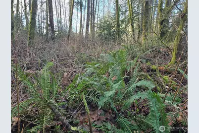 233 Xx State Highway 3 NW, Poulsbo, WA 98370 - Photo 23