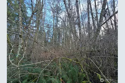 233 Xx State Highway 3 NW, Poulsbo, WA 98370 - Photo 5