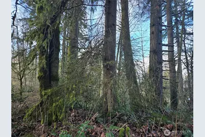 233 Xx State Highway 3 NW, Poulsbo, WA 98370 - Photo 15