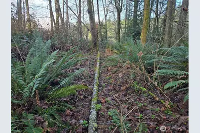 233 Xx State Highway 3 NW, Poulsbo, WA 98370 - Photo 25