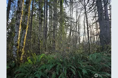233 Xx State Highway 3 NW, Poulsbo, WA 98370 - Photo 5