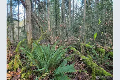 233 Xx State Highway 3 NW, Poulsbo, WA 98370 - Photo 3