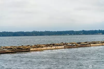 9540 Semiahmoo Parkway #D-37, Blaine, WA 98230 - Photo 19