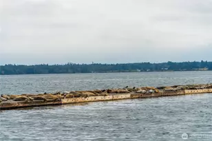 9540 Semiahmoo Pkwy, Blaine, WA 98230 - Photo 19