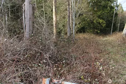 1 Semiahmoo Parkway, Blaine, WA 98230 - Photo 7