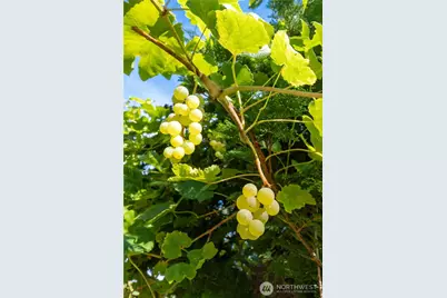 3715 185th Street E, Tacoma, WA 98446 - Photo 21