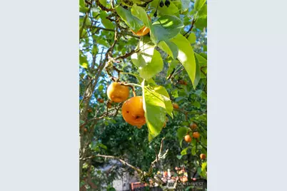 3715 185th Street E, Tacoma, WA 98446 - Photo 19