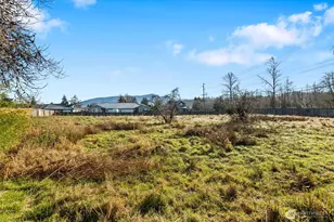 3417 E College Way, Mount Vernon, WA 98273 - Photo 31