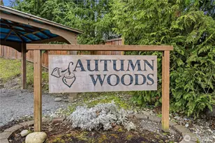 20222 50th Ave E, Spanaway, WA 98387 - Photo 27