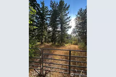 17837 Sargent Road SW, Rochester, WA 98579 - Photo 1