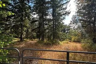 17837 Sargent Rd SW, Rochester, WA 98579 - Photo 1