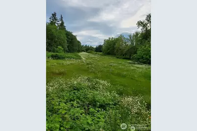 17837 Sargent Road SW, Rochester, WA 98579 - Photo 5