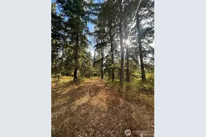 17837 Sargent Road SW, Rochester, WA 98579 - Photo 3