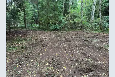 7988 Bethel Burley Road SE, Port Orchard, WA 98367 - Photo 1