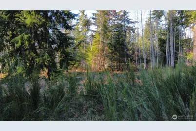 579 Thomas Street, Forks, WA 98331 - Photo 9