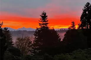 17122 32nd Ave NE, Lake Forest Park, WA 98155 - Photo 3