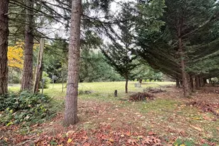 15407 264th St E, Graham, WA 98338 - Photo 21