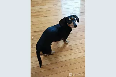 1703 32nd Street, Anacortes, WA 98221 - Photo 39