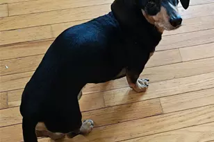 1703 32nd St, Anacortes, WA 98221 - Photo 39