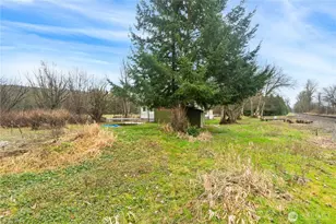 3090 Cole Rd, Everson, WA 98247 - Photo 15