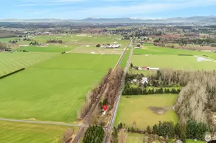 3090 Cole Rd, Everson, WA 98247 - Photo 3