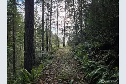 216 Xx Bond Road NE, Poulsbo, WA 98370 - Photo 7