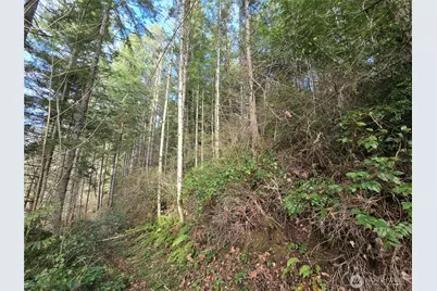 216 Xx Bond Road NE, Poulsbo, WA 98370 - Photo 13