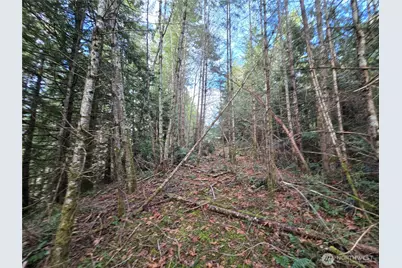 216 Xx Bond Road NE, Poulsbo, WA 98370 - Photo 13