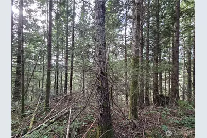 216 Xx Bond Road NE, Poulsbo, WA 98370 - Photo 3