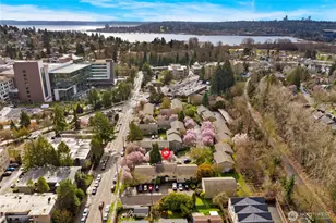 4877 Terrace Dr NE, Seattle, WA 98105 - Photo 29