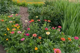 570 Drews Prairie Rd, Winlock, WA 98596 - Photo 35