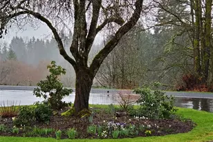 570 Drews Prairie Rd, Winlock, WA 98596 - Photo 29