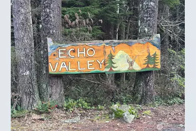 31319 555th Street E, Ashford, WA 98304 - Photo 13