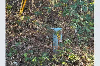 31319 555th Street E, Ashford, WA 98304 - Photo 3