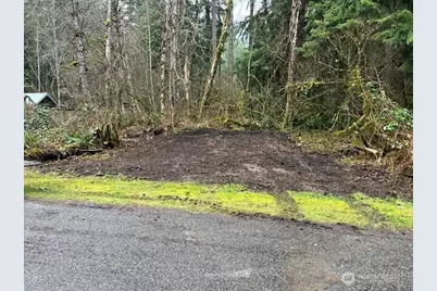 31319 555th Street E, Ashford, WA 98304 - Photo 1