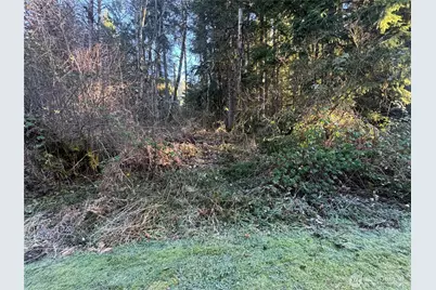 31319 555th Street E, Ashford, WA 98304 - Photo 7